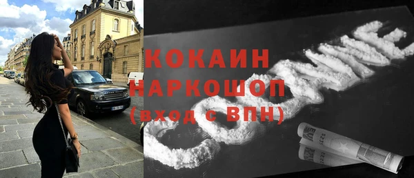 тгк Алексин