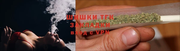 тгк Алексин