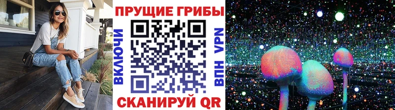 blacksprut онион  Югорск  Псилоцибиновые грибы Cubensis  что такое  
