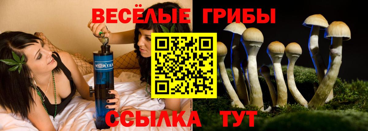 Галлюциногенные грибы мицелий  Галлюциногенные грибы MAGIC MUSHROOMS  Югорск  где продают наркотики  Вход с VPN 
